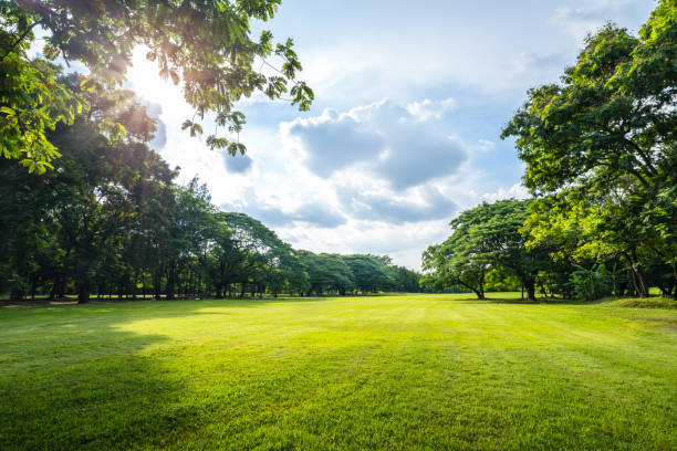 Saulės energija spinduliuoja Lietuvos parkus: Žalia energetika atsiskleidžia