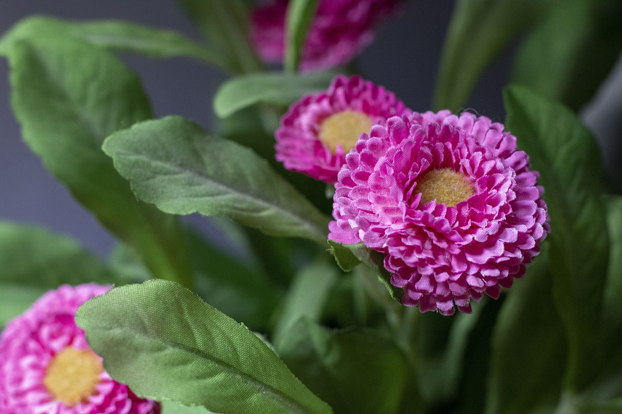 Kaip atpažinti manipuliavimą naujienomis: 7 ženklai, kad jus bando suklaidinti